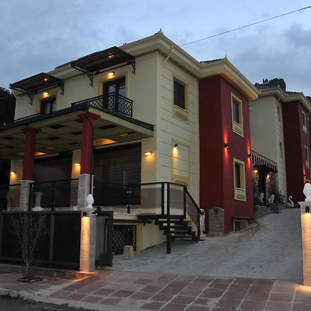 Appartamento Dominique Meteora House Kalambaka Esterno foto